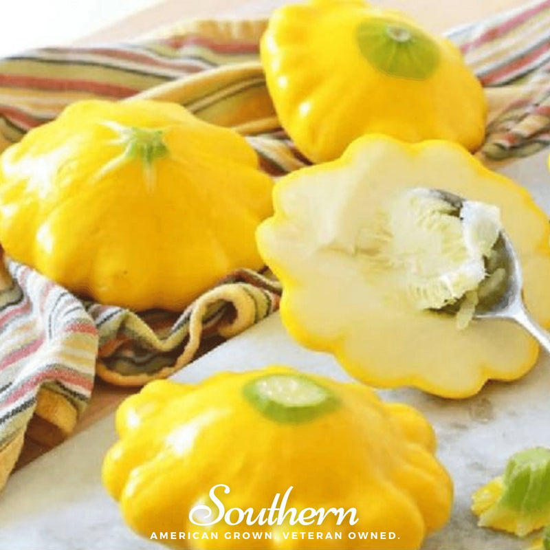 Load image into Gallery viewer, Scallop Yellow Bush Summer Squash – 25 Seeds
