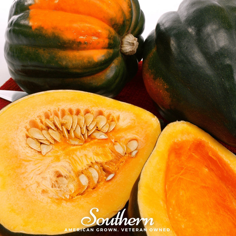 Load image into Gallery viewer, Table Queen Acorn Winter Squash – 25 Seeds

