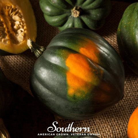 Table Queen Acorn Winter Squash 25 Seeds
