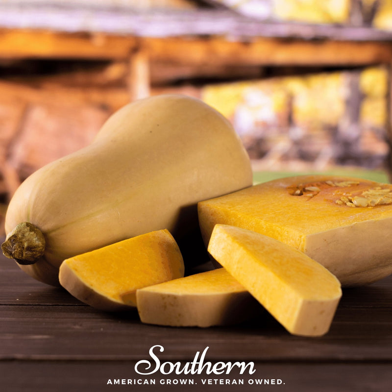 Load image into Gallery viewer, Waltham Butternut Winter Squash – 25 Seeds
