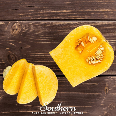 Waltham Butternut Winter Squash – 25 Seeds, additional product view 2