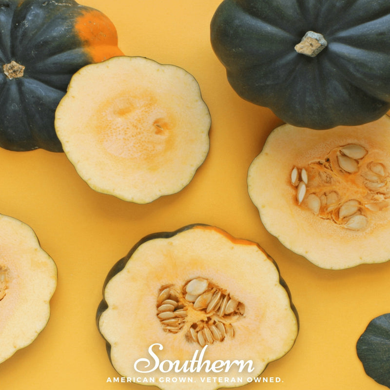 Load image into Gallery viewer, Table King Acorn Winter Squash – 20 Seeds
