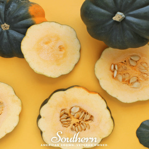 Table King Acorn Winter Squash – 20 Seeds, additional product view 2