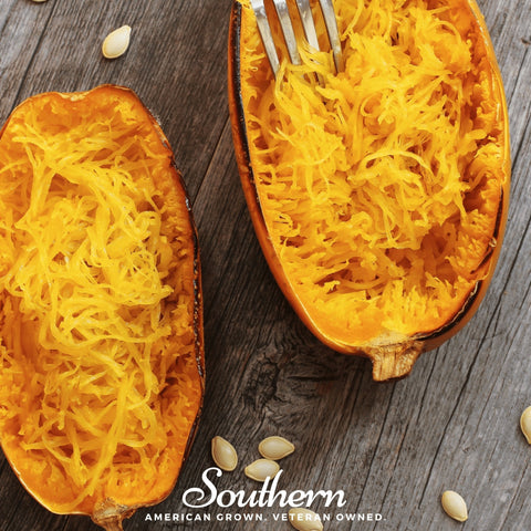 Spaghetti Winter Squash – 20 Seeds, additional product view 2
