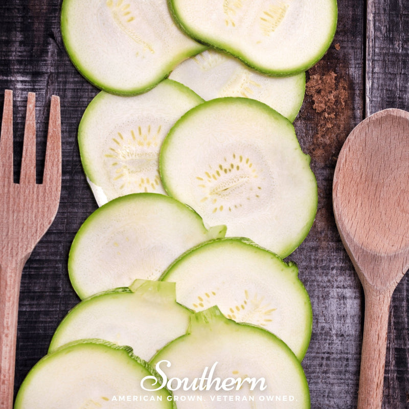 Load image into Gallery viewer, Zucchini Round Summer Squash – 25 Seeds
