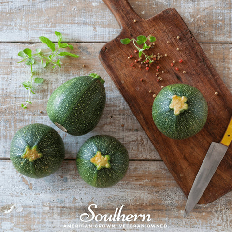 Zucchini Round Summer Squash 25 Seeds