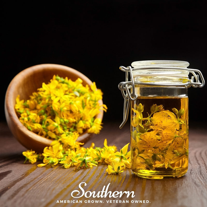 Load image into Gallery viewer, Dotted St. John’s Wort – 100 Seeds
