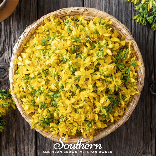 St. John’s Wort – 100 Seeds