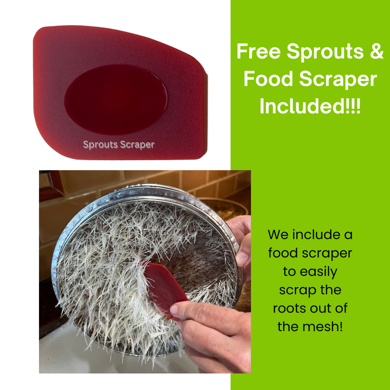 Load image into Gallery viewer, Stainless Steel Seed Sprouter Kit - Stackable 3-Tier Trays
