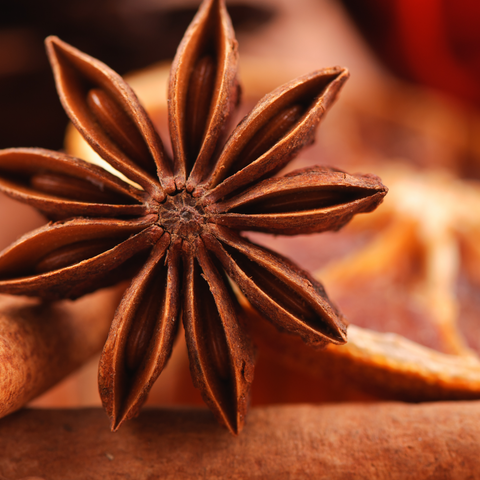 Organic Star Anise seeds package, GrowTime Garden Supply