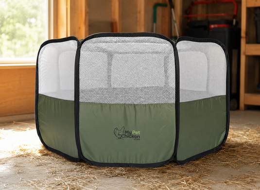 Hen Pen Pop-Up Chick Brooder for Small Flocks shown in product view 4