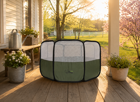 Hen Pen Pop-Up Chick Brooder for Small Flocks shown in product view 3