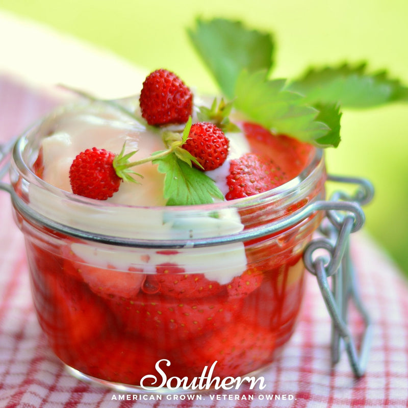 Load image into Gallery viewer, Wild Red Strawberry – 200 Seeds
