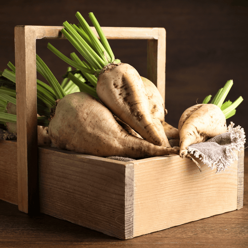 Load image into Gallery viewer, Sugar Beet – 50 Seeds
