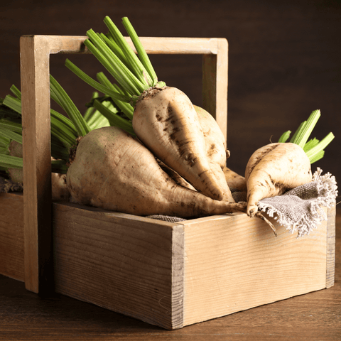 Sugar Beet 50 Seeds