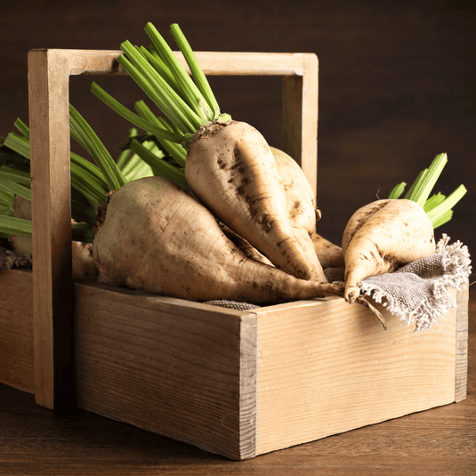 Sugar Beet – 50 Seeds