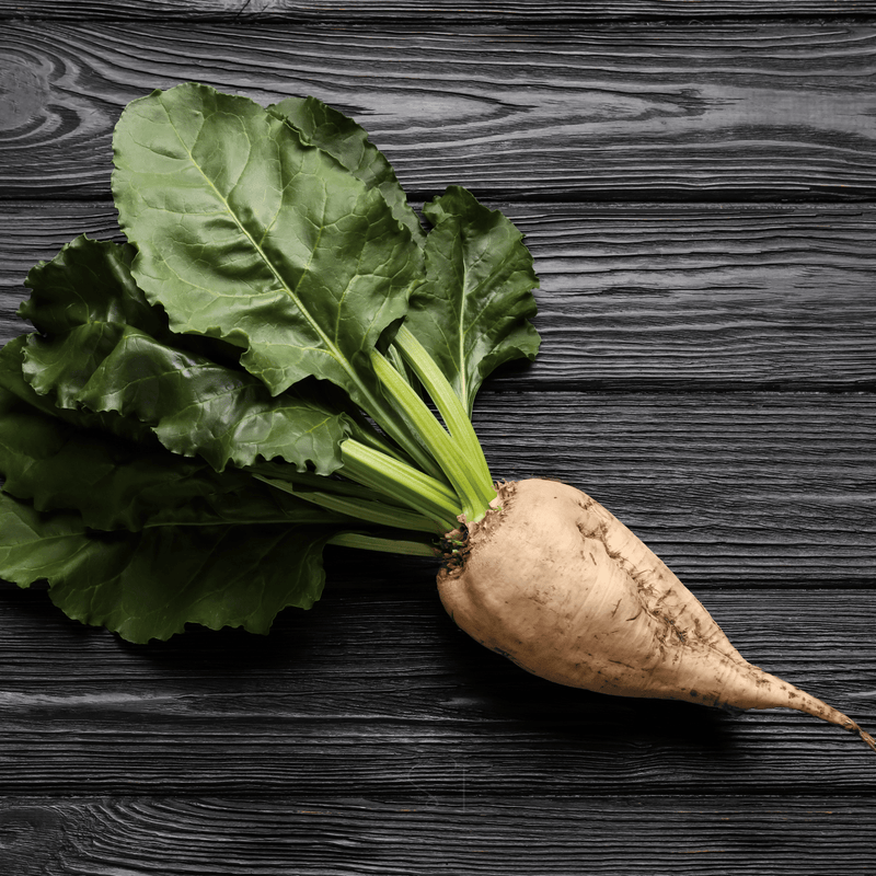 Load image into Gallery viewer, Sugar Beet – 50 Seeds

