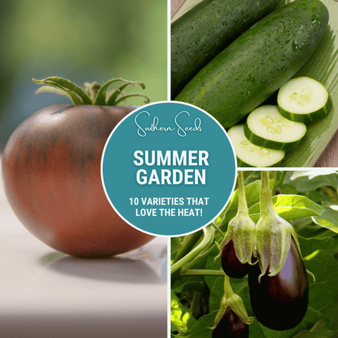 Summer Garden Seed Collection 10 Heat Loving Varieties