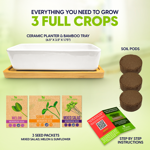 Ceramic Microgreens Growing Kit to Grow 3 Crops Including Organic USDA Sunflower, Melon & Mixed Microgreens Seeds., additional product view 2