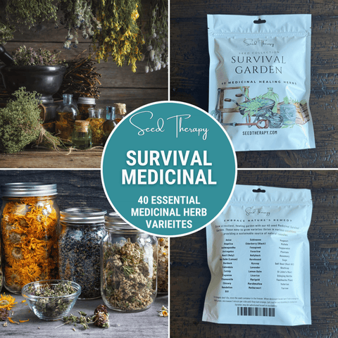 Survival Medicinal Herb Garden – 40 Essential Varieties, additional product view 2