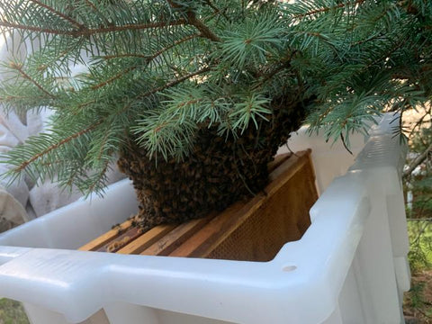 Hive Butler Swarm Saver, detail view