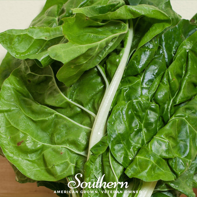 Load image into Gallery viewer, Fordhook Giant Swiss Chard – 100 Seeds
