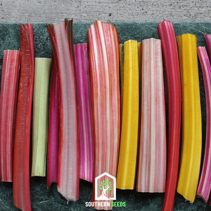 Load image into Gallery viewer, Rainbow Swiss Chard – 150 Seeds
