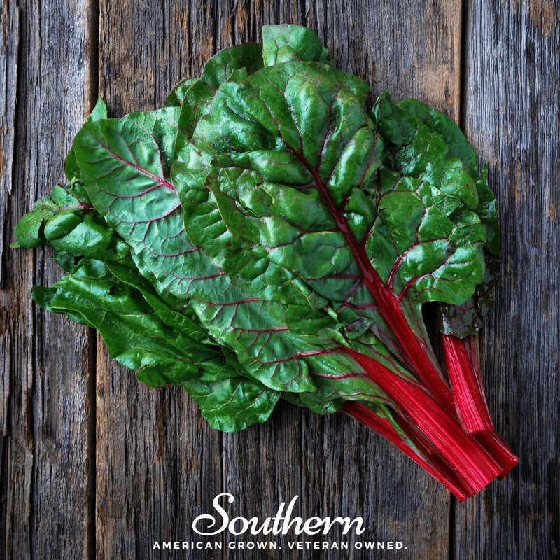 Load image into Gallery viewer, Ruby Red Swiss Chard – 100 Seeds
