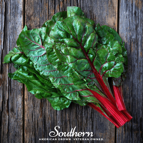 Ruby Red Swiss Chard seeds package, 100 count, GrowTime Garden Supply