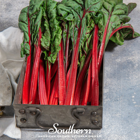 Ruby Red Swiss Chard – 100 Seeds, additional product view 2
