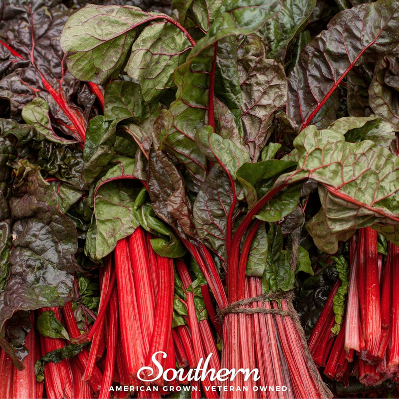 Load image into Gallery viewer, Ruby Red Swiss Chard – 100 Seeds
