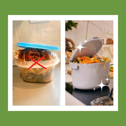 Daily Kitchen Compost Caddy