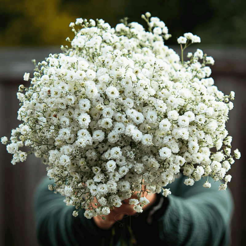 Load image into Gallery viewer, The Pearl Yarrow – 100 Seeds
