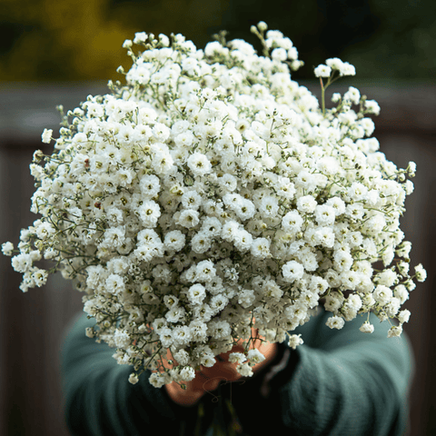 The Pearl Yarrow 100 Seeds