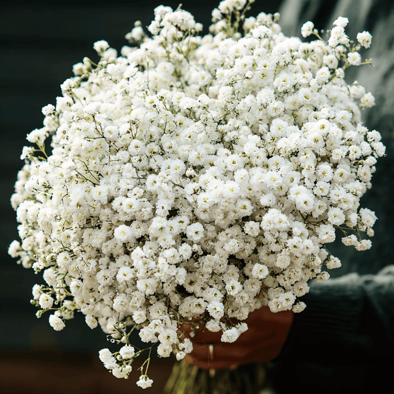 Load image into Gallery viewer, The Pearl Yarrow – 100 Seeds
