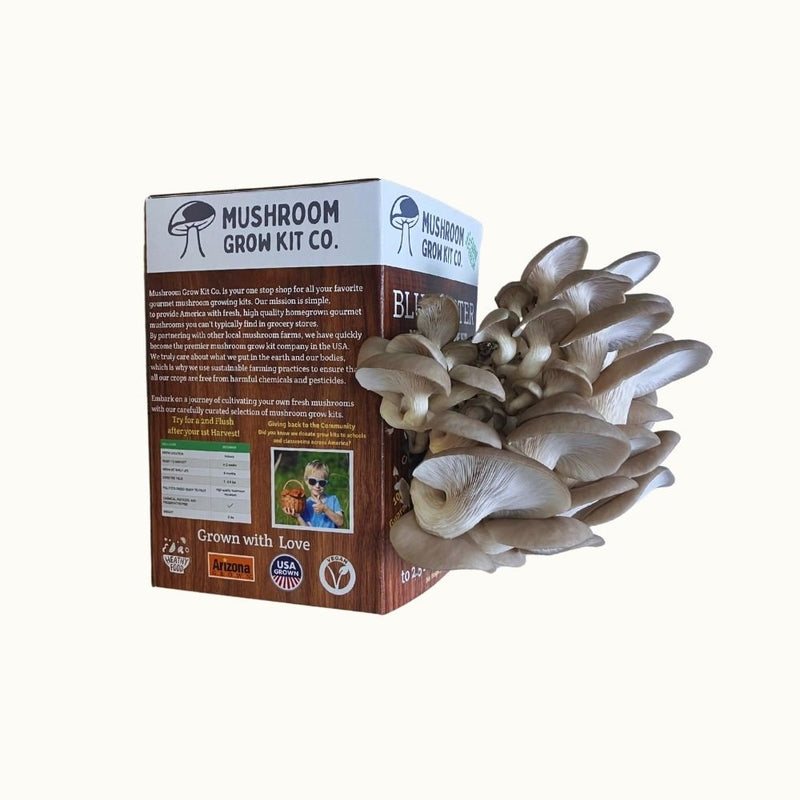 Load image into Gallery viewer, Blue Oyster Mushroom Growing Kit - 5 LBS Spray and Grow
