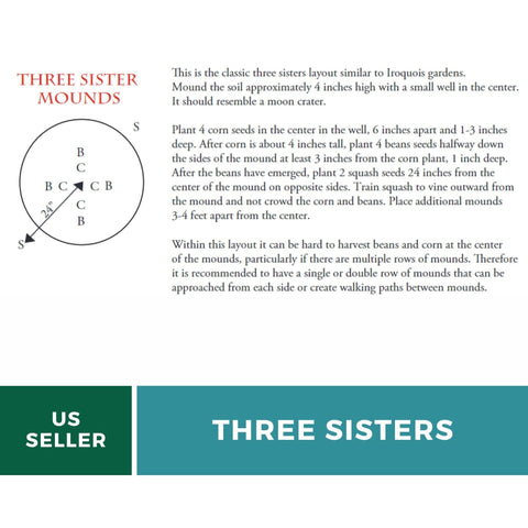 Three Sisters Seed Collection – Native American Farming – Corn, Bean, Squash, additional product view 2