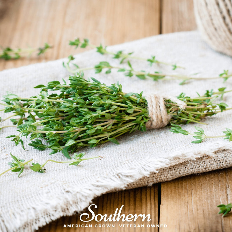 Load image into Gallery viewer, Common Thyme – 250 Seeds
