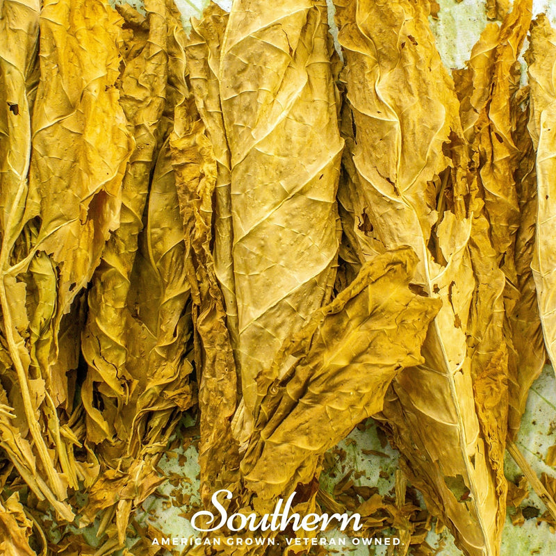 Load image into Gallery viewer, Virginia Gold Tobacco – 500 Seeds
