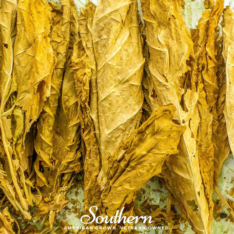 Virginia Gold Tobacco – 500 Seeds, additional product view 2