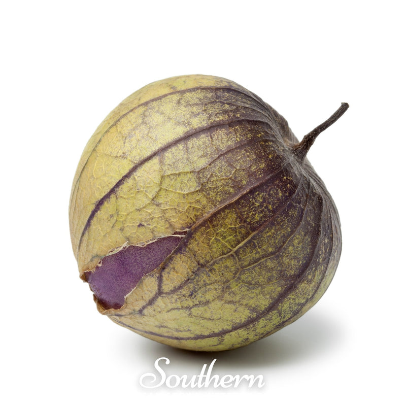 Load image into Gallery viewer, Purple Tomatillo – 30 Seeds
