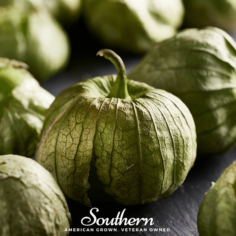 Load image into Gallery viewer, Verde Rio Grande Tomatillo – 50 Seeds
