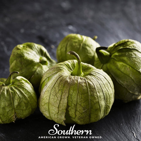 Verde Rio Grande Tomatillo 50 Seeds