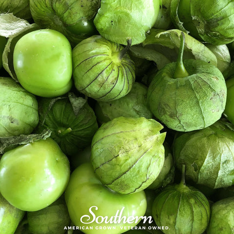 Verde Rio Grande Tomatillo – 50 Seeds, additional product view 2