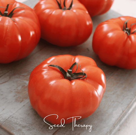 Beefsteak Tomato – 30 Seeds, additional product view 2