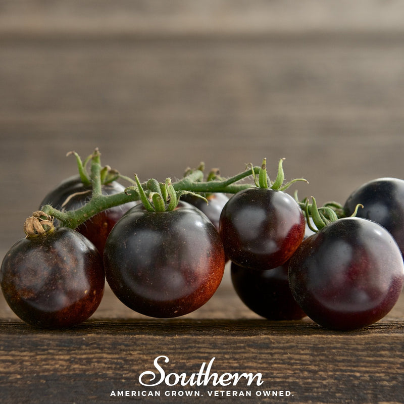 Load image into Gallery viewer, Black Cherry Tomato – 20 Seeds
