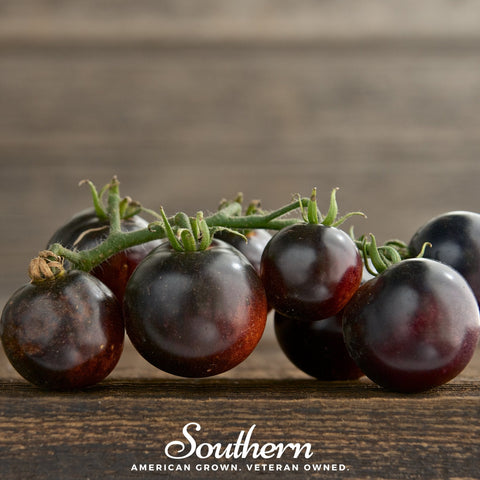 Black Cherry Tomato 20 Seeds