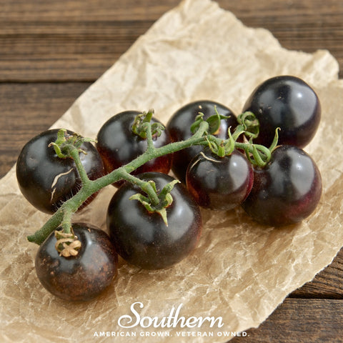 Black Cherry Tomato – 20 Seeds, additional product view 2