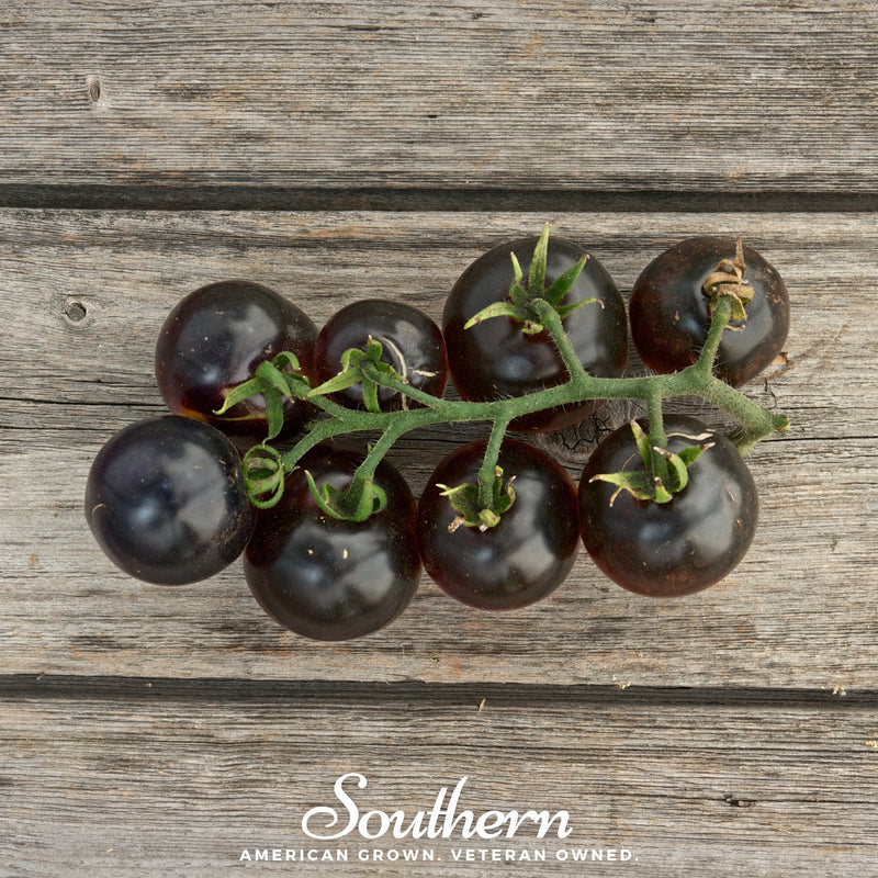 Load image into Gallery viewer, Black Cherry Tomato – 20 Seeds
