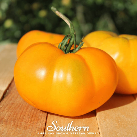 Yellow Brandywine Tomato 50 Seeds